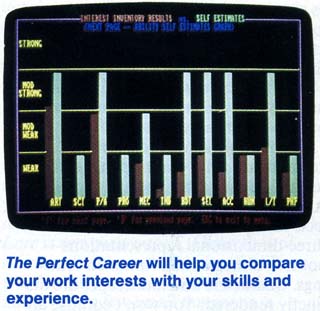 The Perfect Career