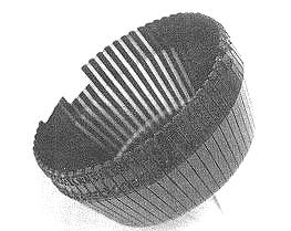 Thimble print head