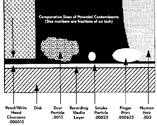 Comparative sizes of Potential Contaminants