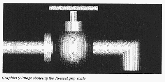 Graphics 9 image showing the 16-level grey scale